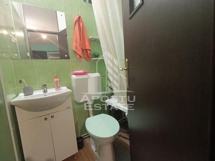 Apartament cu 4 camere, centrala proprie, 2 bai, terasa, zona Iosefin. - 11