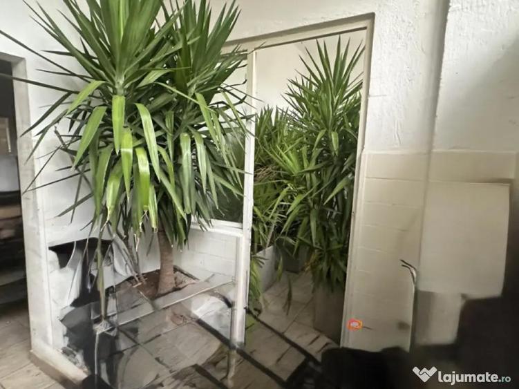 Spa?iu comercial, 146 mp, zona Central - 10