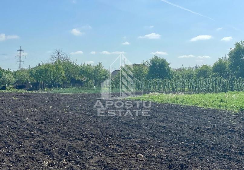 Casa individuala cu curte individuala si gradina - Zona Gai - 21