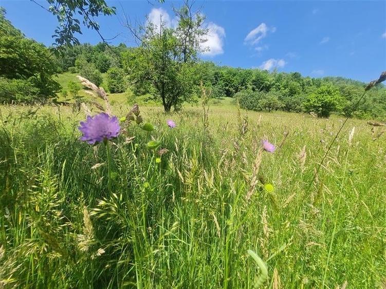 View superb:intravilan,constructie rezidenta/hotel, 2.327 mp,Moieciu de Jos, Bra - 26