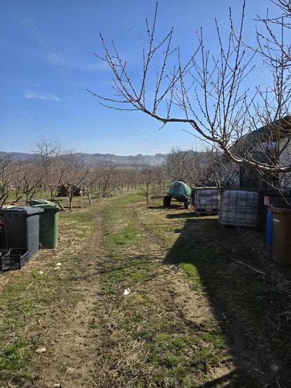 CASA cu LIVADA incepe o noua afacere sau conecteaza-te cu natura!!! - 2