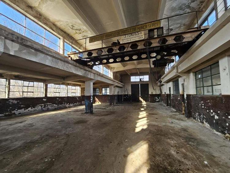 Vanzare amplasament industrial-servicii Tatarasti, Teleorman - 5