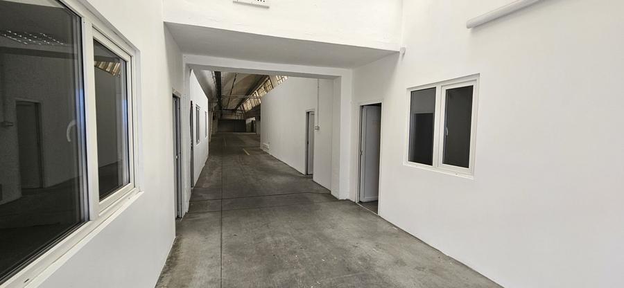 Pantelimon hala productie depozitare - 22