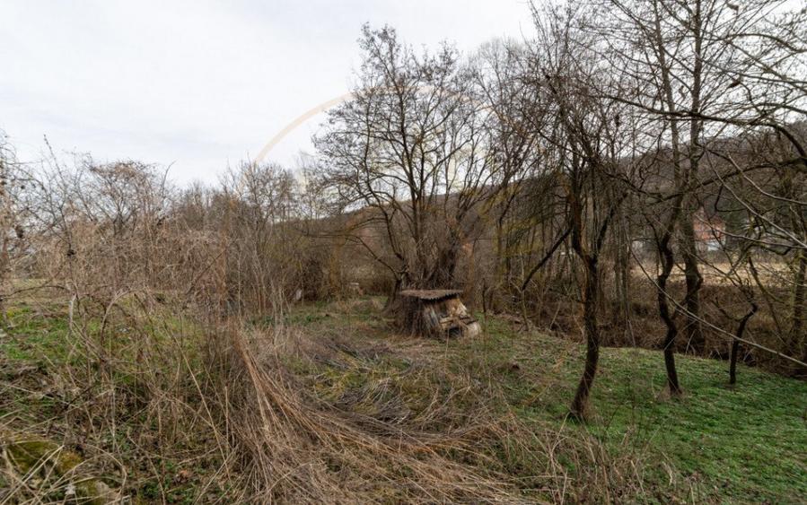 Teren de vanzare 1221 mp in Budeasa Mica, zona lini? - 6