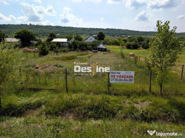 Investi?ie, Casa 170 mp cu 2400 mp teren cu IAZ la asfalt - 4