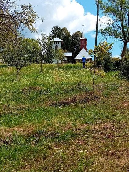 Teren de vinzare - 1