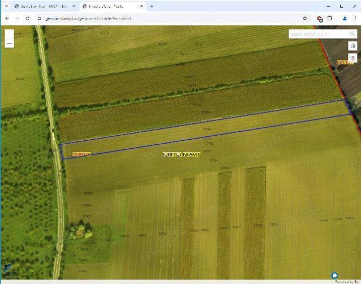 Vand teren 15000 mp intre com.Dobreni si Bodesti (parcare)soseaua Piatra Neamt-Targu Neamt - 1