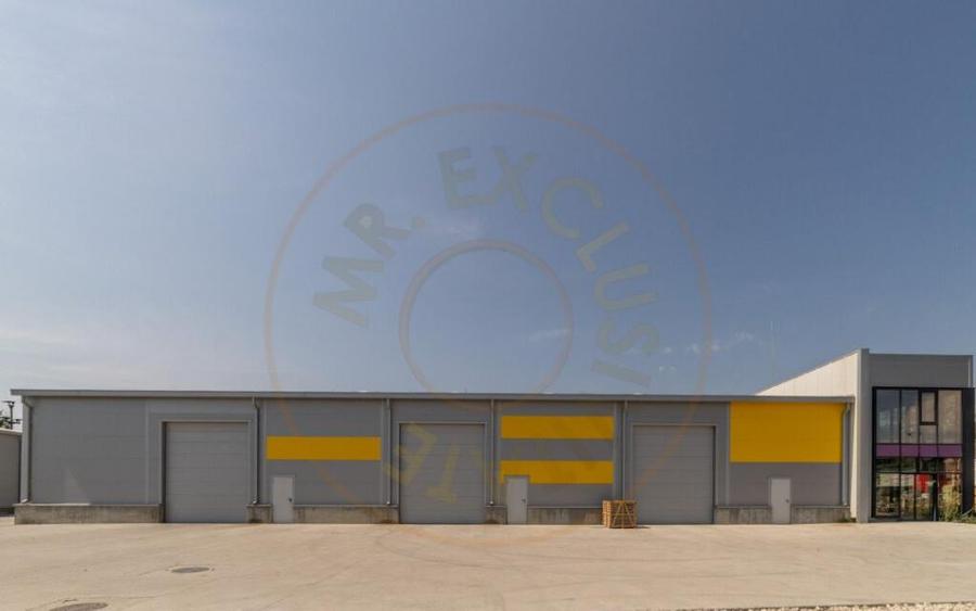 Inchiriere hala noua zona Bascov la DN 7C - 15