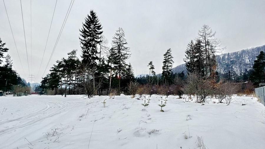 Teren intravilan - Sacele - Brasov - 1