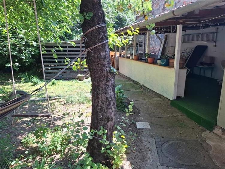 Inchiriez casa 3 camere zona Elisabetin, pet frendly! - 3