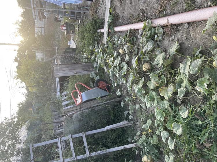 Casa + teren 610 mp Tulcea, Str. Orizontului utilita?i complete - 3