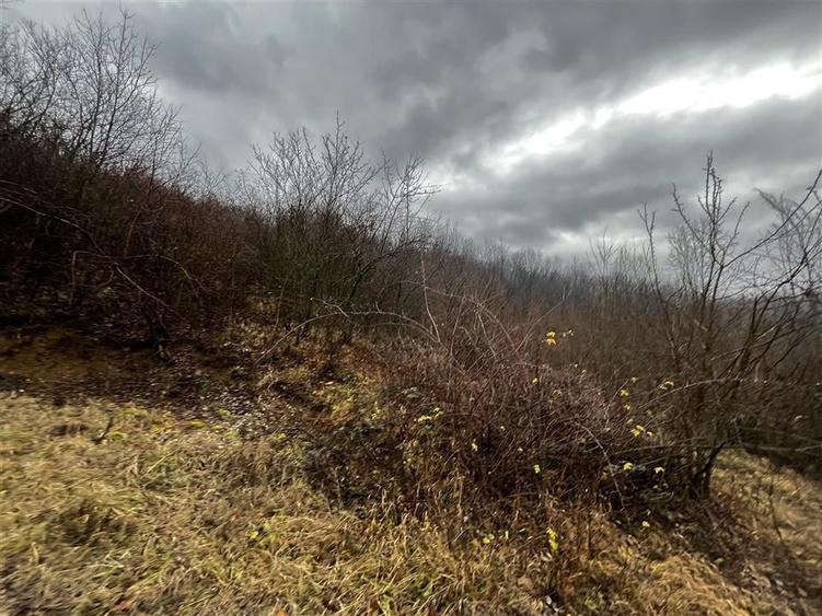 Teren intravilan 653 mp in Boldesti-Scaeni. - 6