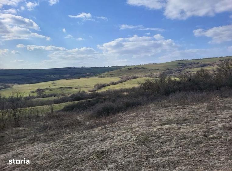 Teren 1 hectar cu casa - 3