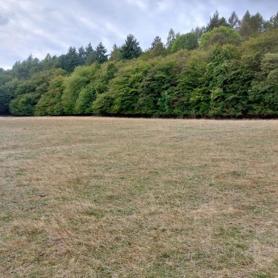 Parcela cu proiect autorizat, 60 euro/mp, Corusu! - 1