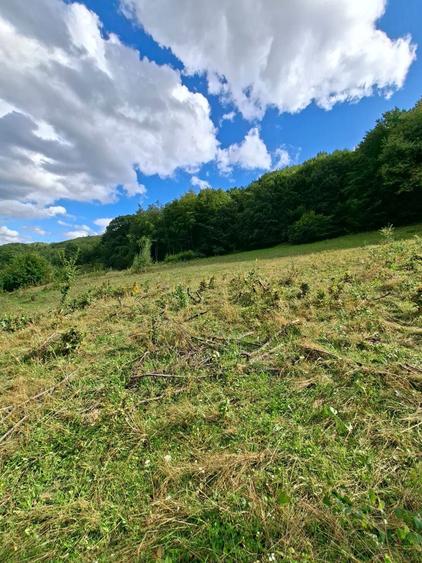 Teren intravilan+extravilan Podirei Bistrita - 7