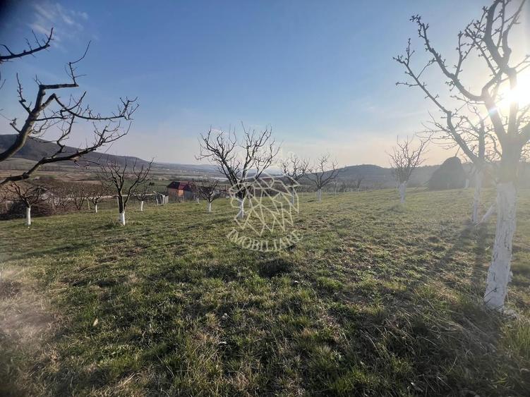 Teren 3100 mp-livada-ideal casa-Mititei - 6