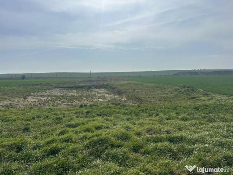 Teren extravilan 10.000 mp, DN-reprezentanta VOLVO -dezmembr - 8