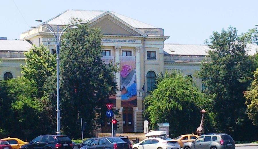 Dorobanti, 2cam, AC+centr. proprie, in vila, metrou Victoriei;390e PRET REDUS  - 11