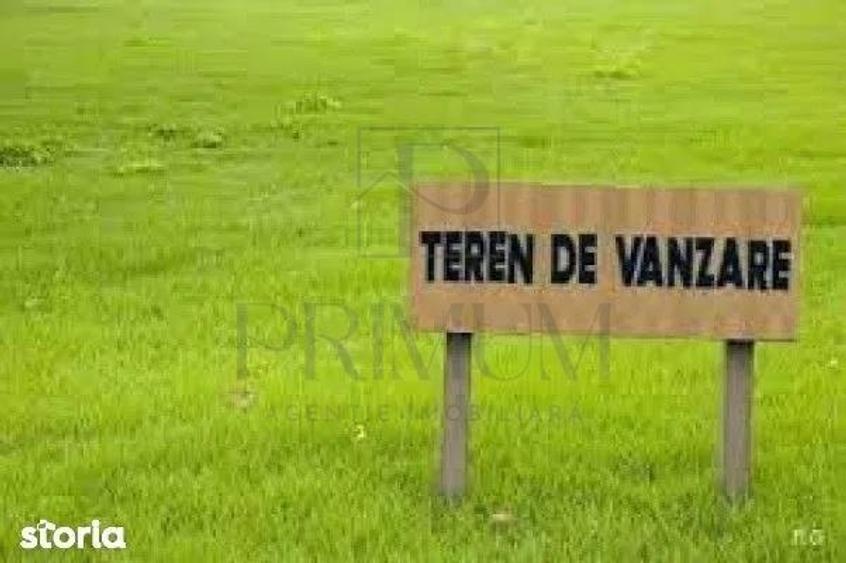 Sacalaz- teren extravilan- - 1