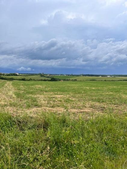 Teren intravilan de vanzare la intrarea in Cordau, Bihor - 2