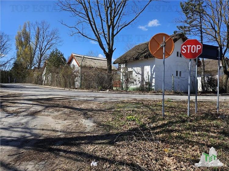 TEREN INTRAVILAN 24100 MP AGIGEA - 6