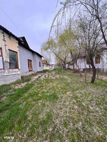 Casa in centrul com Maciuca, Oveselu, jud Valcea - 16