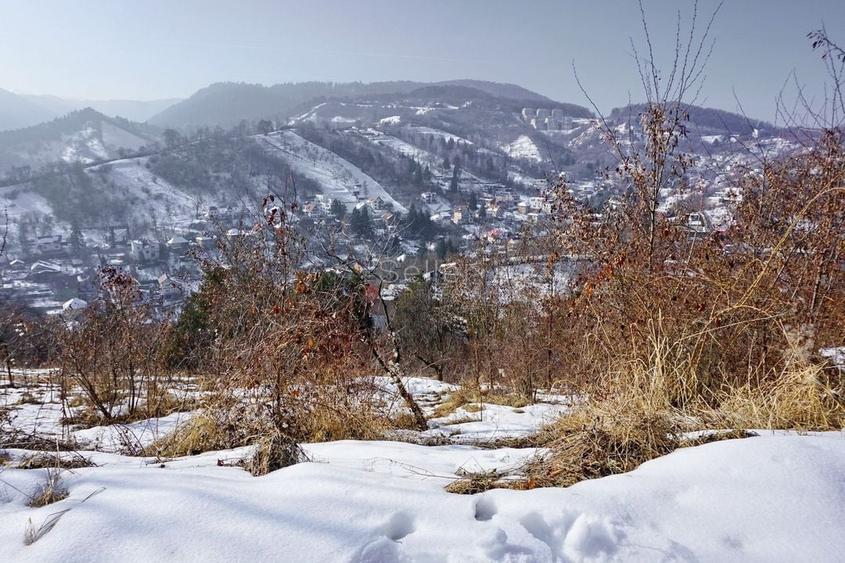 Teren Intravilan - Zona Drumul Poienii - 1