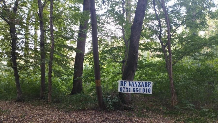 SUPER  OCAZIE TEREN 4000MP DE VANZARE IN SNAGOV CU DESCHIDERE LA LACUL SNAGOV - 1