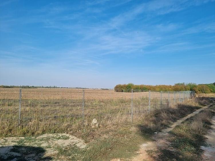 Vanzare Teren  Industrial Pantelimon Cernica 10000mp - 4