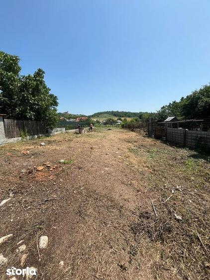 Vand teren com Curtisoara jud Olt intravilan - 2