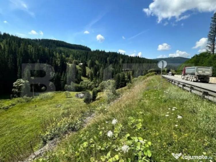 Teren intravilan de vanzare, 6941 mp, zona Mestecani? - 1