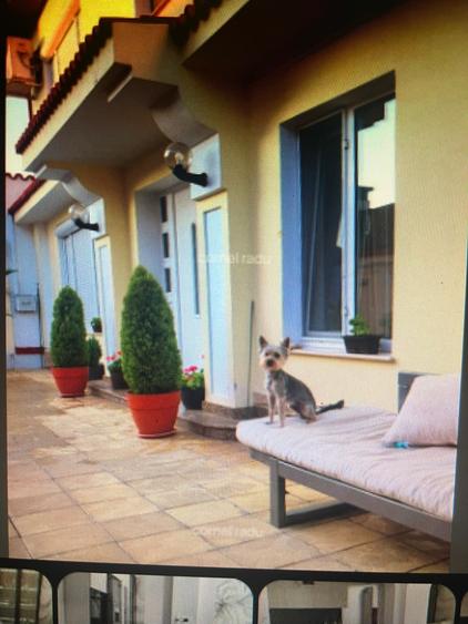 VILA P+1 FALEZA NORD- CU PISCINA- IMPECABILA - 9