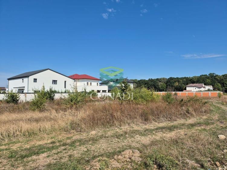 Teren de vanzare - Voluntari - zona Matei Millo - 6