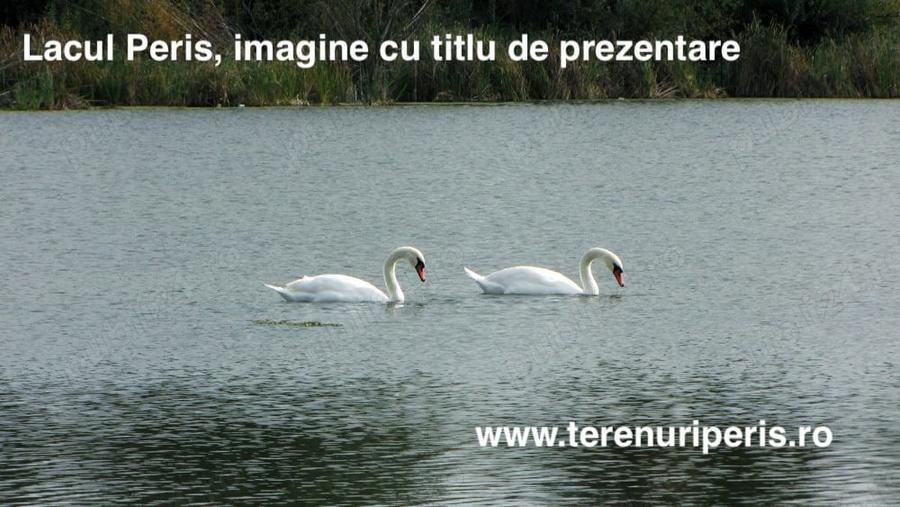 Terenuri IN RATE 500 luna, teren 25 langa Ciolpani, Izvorani - 7