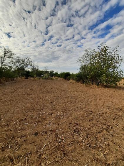 Vind casa si teren in Colacu Dimbovita - 2