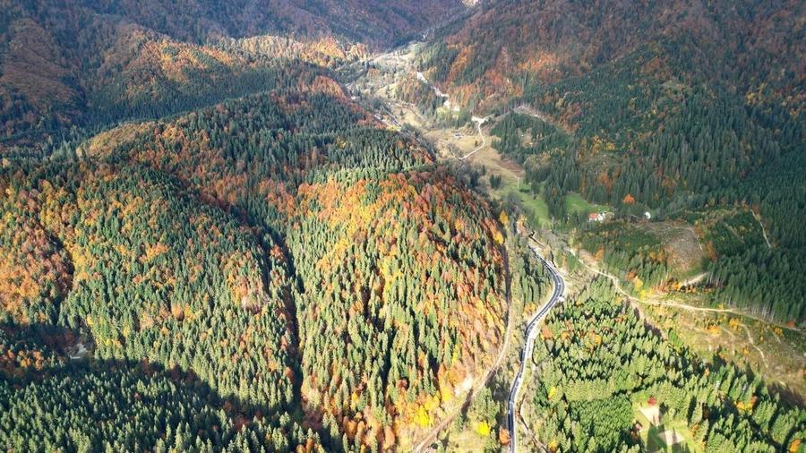 Poiana lui Manole - teren Intravilan - 32