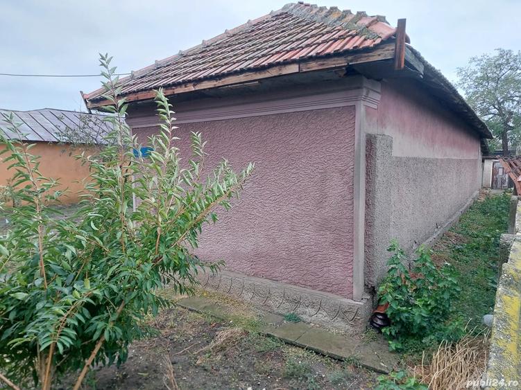 Casa cu teren Alexandria 504mp - 4