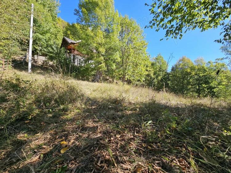 Cabana de vanzare Lep?a, jud. Vrancea - Cheile Ti?i?ei - 7
