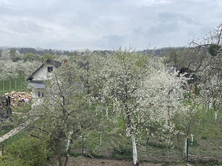 Buzesti(Farcasa), linga Biserica,casa 2 camere, baie, beci , anexe ,20 ari gradina ,pret 68.000 euro - 7