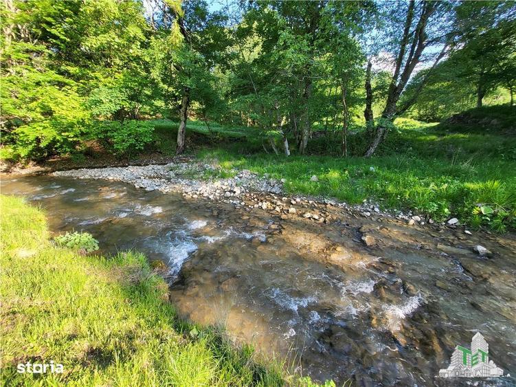 Teren Intravilan 12000 mp, Cascada Urlatoarea,pentru Resort, langa baz - 2