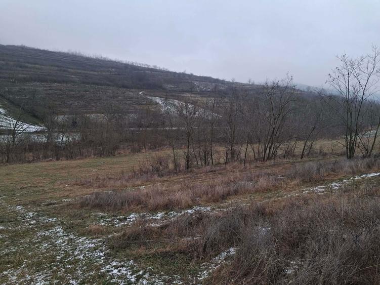 2 terenuri si casa de vanzare - 11