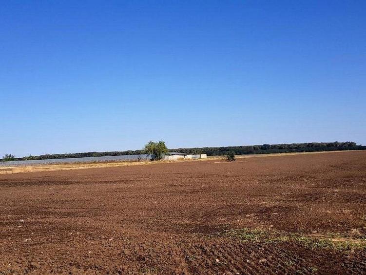 Teren intravilan de vânzare Brănești – DN3, deschidere 60 ml  investie - 5