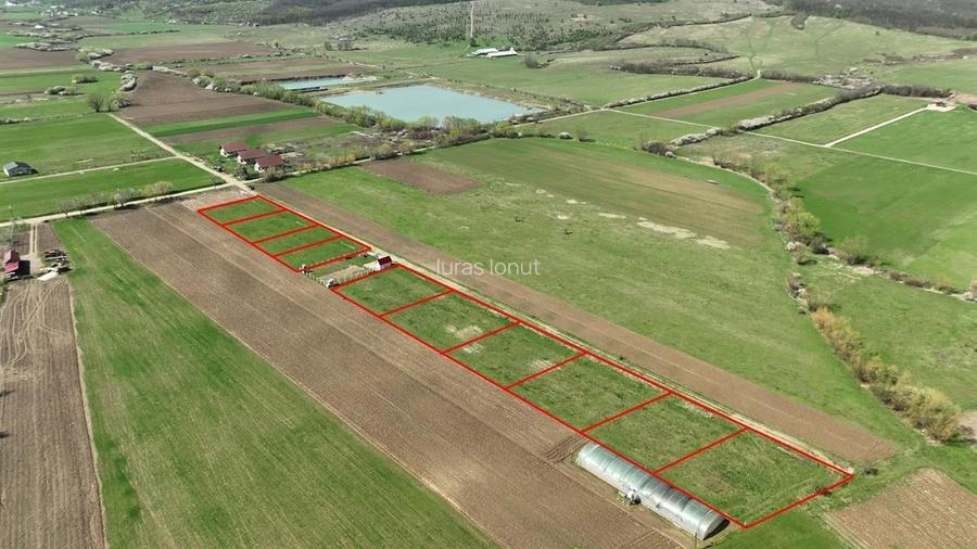 Teren Construcții intravilan de 600 mp, în Ineu Teren Construcții intravilan de 600 mp, în Ineu