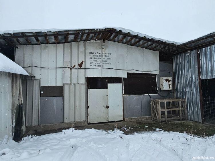 Ferma Calugareni 11860 mp 100 000 Euro - 9