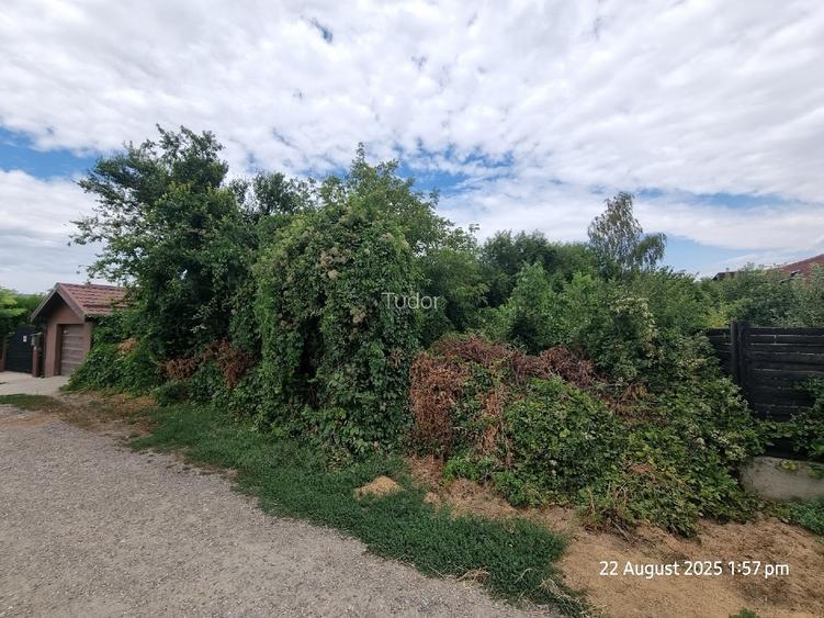 Teren Afumați zonă lac