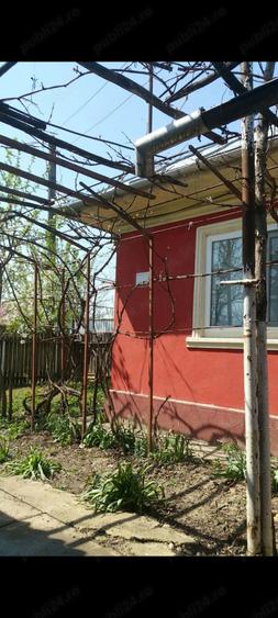 Casa la tara Ulmu Calarasi - 1