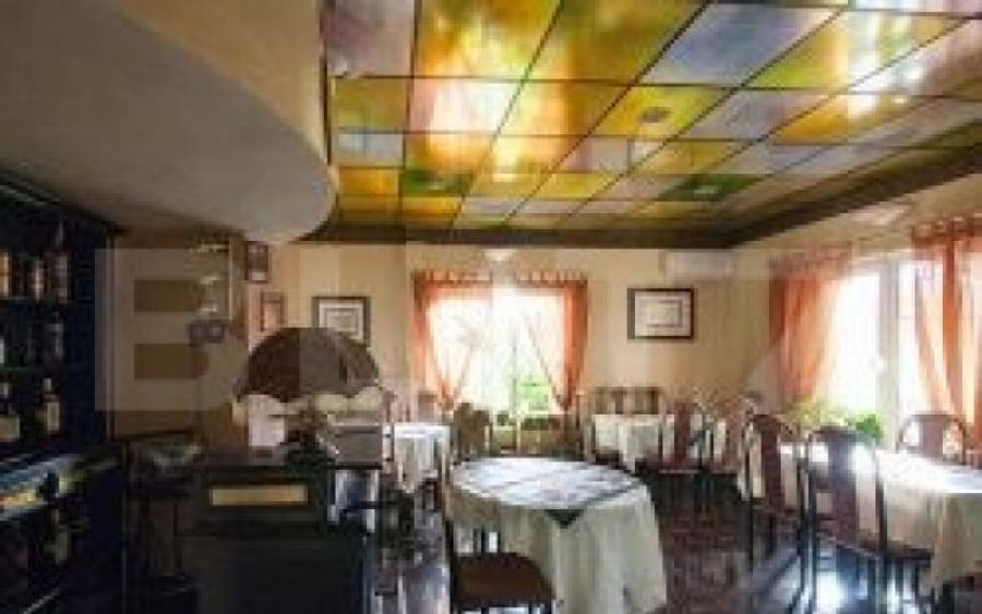 Pensiune de inchiriat, 450 mp, zona Lugojului - 2