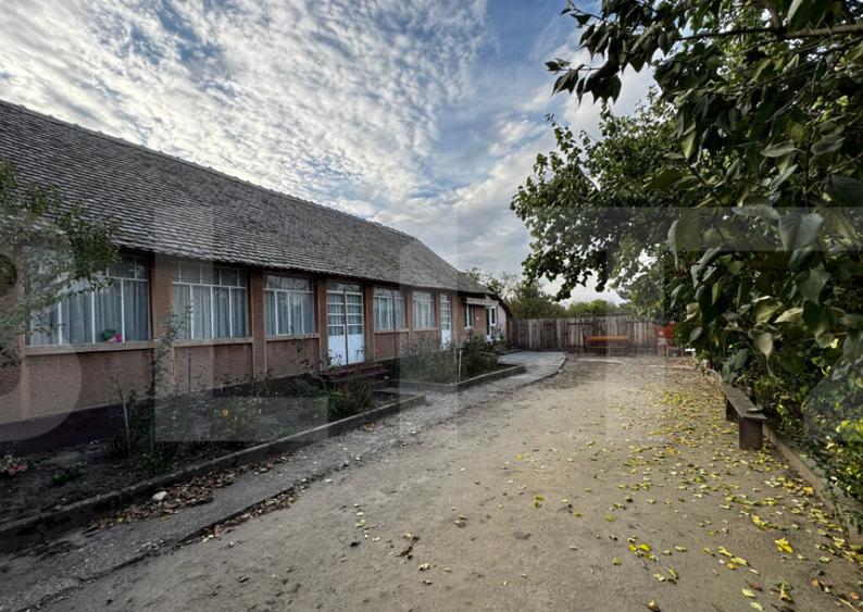 Casa 4 camere cu teren de 3892 mp - 15