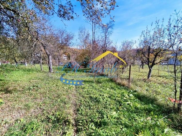 Teren intravilan de vanzare, Provita de Jos - 8