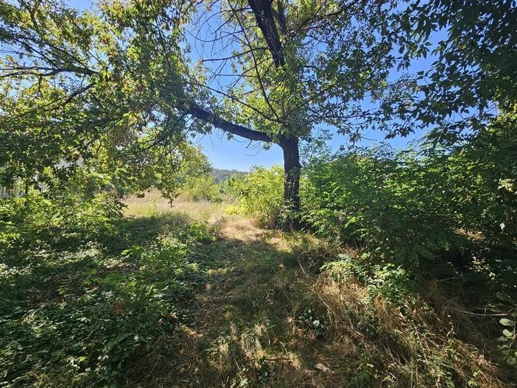 TEREN INTRAVILAN DE VANZARE ONESTI - 6